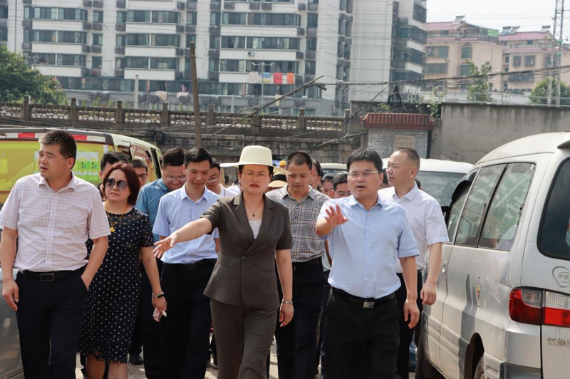 李美云、魏淑萍到岳陽中心城區(qū)污水治理項目調研