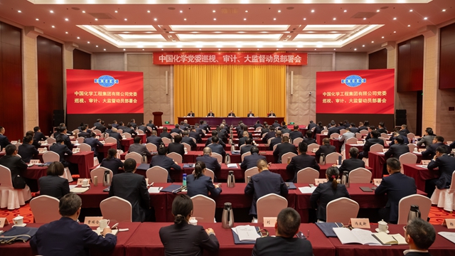 中國化學黨委召開巡視、審計、大監督動員部署會