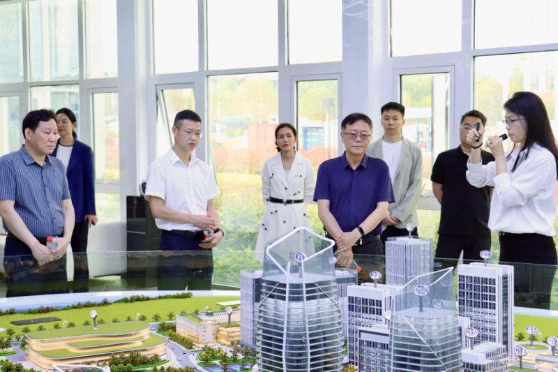 九三學社湖南省委會到港晨公司綜合體項目開展專題調(diào)研