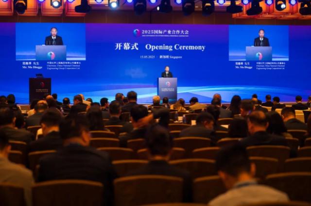 莫鼎革受邀出席新加坡產業合作大會開幕式并致辭